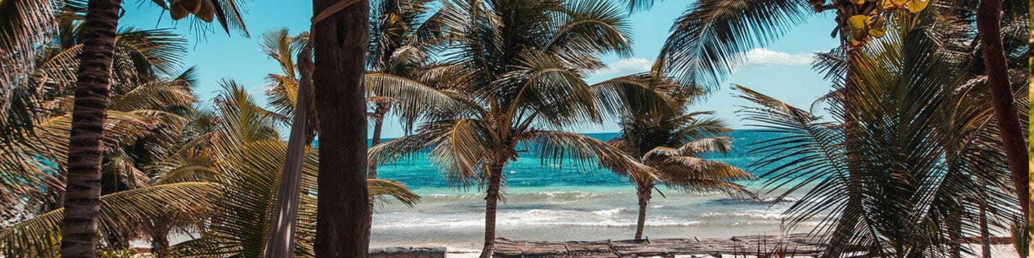 Tulum Fragrance Collection