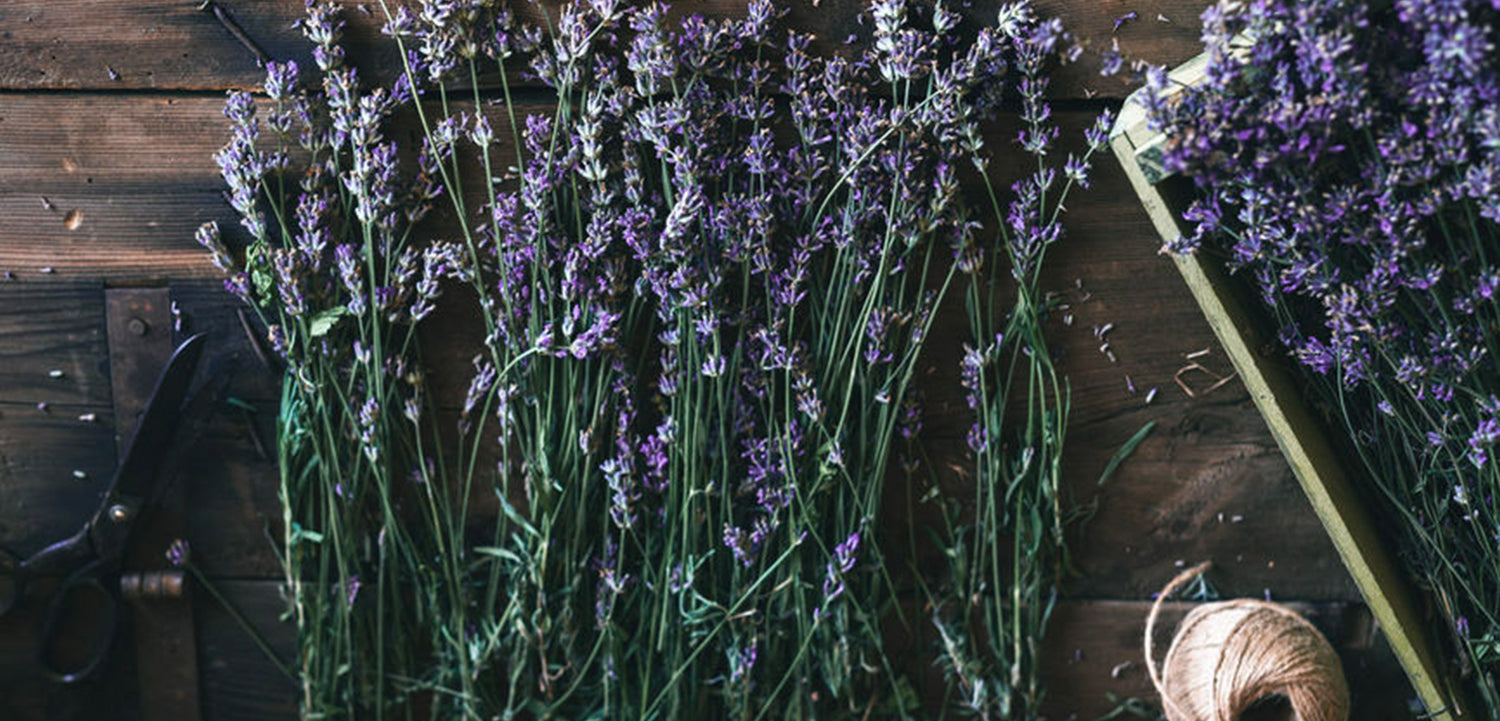 Photo of natural lavender laying in rows on wooden table 