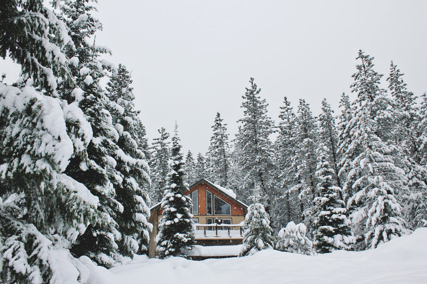 Cabin in the snowy woods