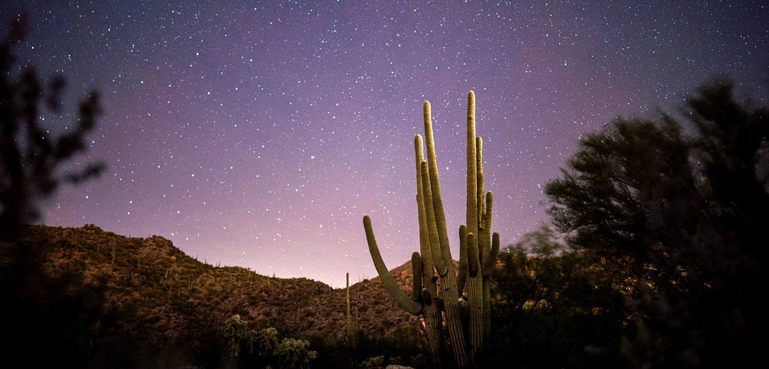 Brooklyn Candle Studio Desert Stargaze inspired image