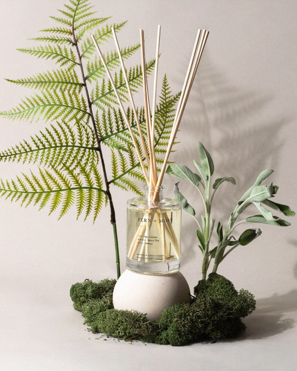 Fern + Moss Reed Diffuser Reed Diffusers Brooklyn Candle Studio 