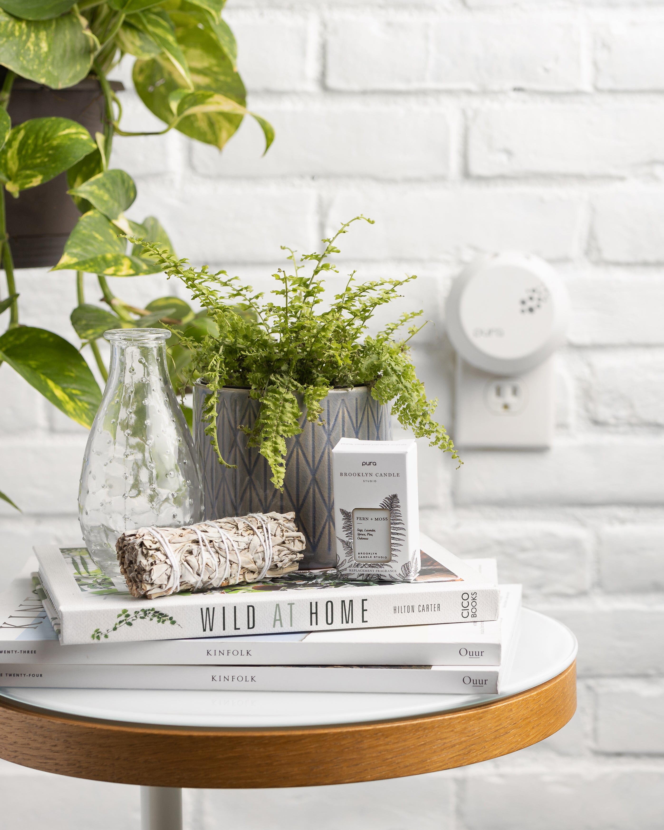 Fern + Moss Refill for Pura Pura Brooklyn Candle Studio 