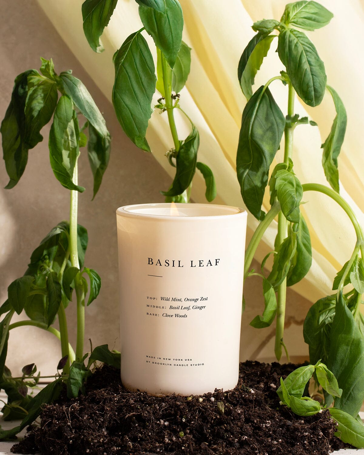 Limited Edition Basil Leaf Candle First Friday Flames 2026 Brooklyn Candle Studio 