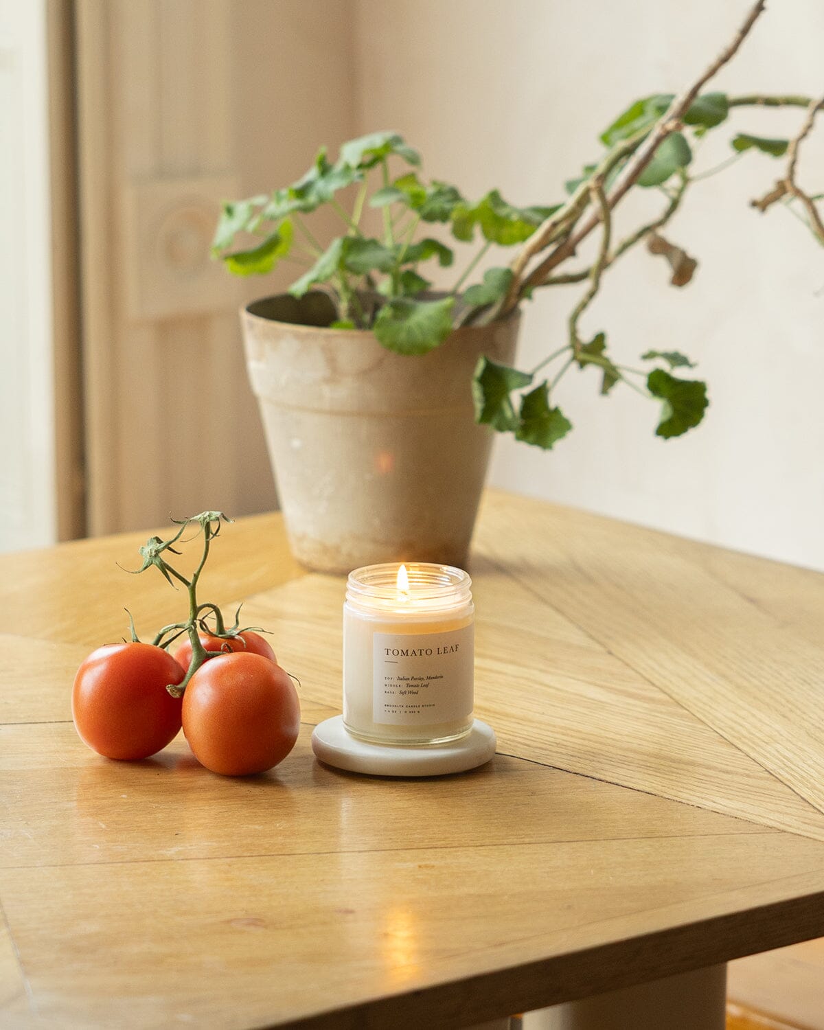 Tomato Leaf Jar Candle Minimalist Brooklyn Candle Studio 